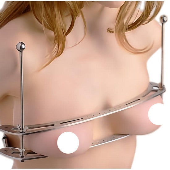 THORN GARDEN™ 304 Stainless Steel Adjustable Nipple Clamps with Lock