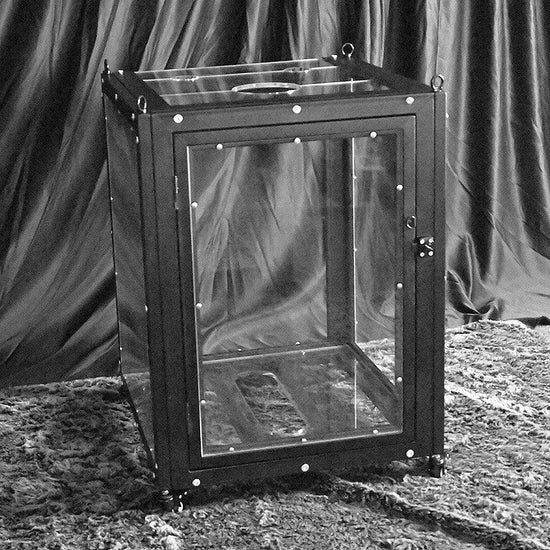 THORN GARDEN™ bdsm transparent hanging cage free shipping