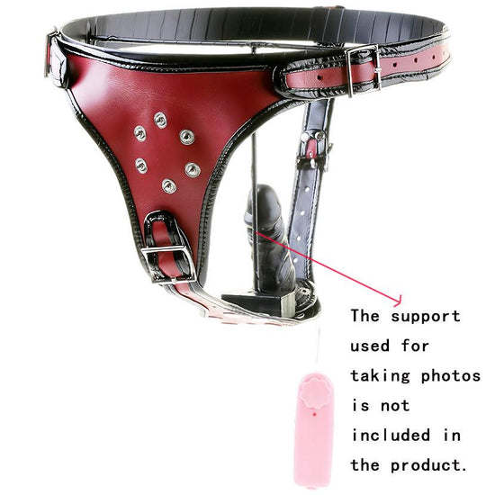 THORN GARDEN™ Detachable vibrating dildo leather pants free shipping