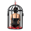 THORN GARDEN™ metal hanging bondage cage free shipping