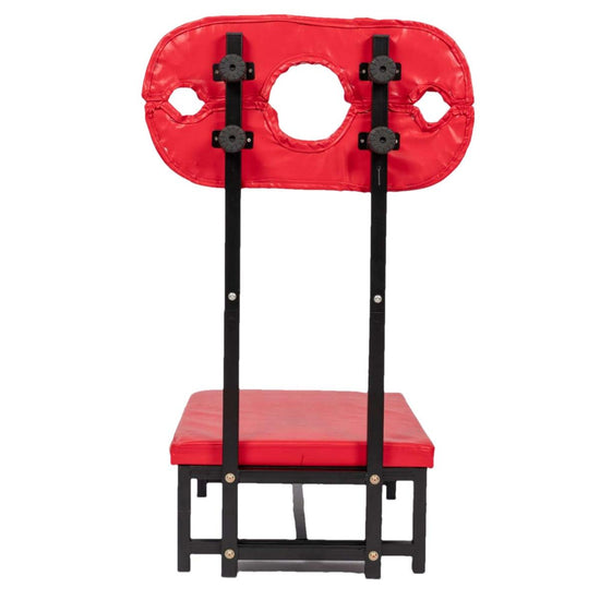 THORN GARDEN™ Red Leather Bdsm Sex Chair - Free Shipping