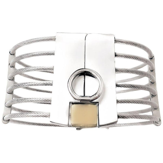 THORN GARDEN™ 0.5kg stainless steel wire slave collar free shipping