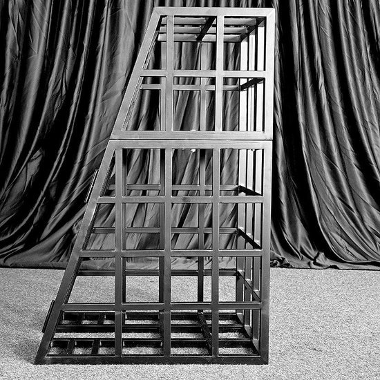 THORN GARDEN™ bdsm metal body bondage cage free shipping