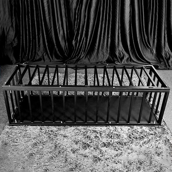 THORN GARDEN™ bdsm Forced to sleep in a standing cage free shipping