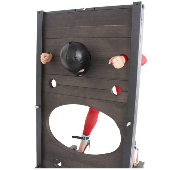 THORN GARDEN™ multifunctional bdsm bondage wall free shipping
