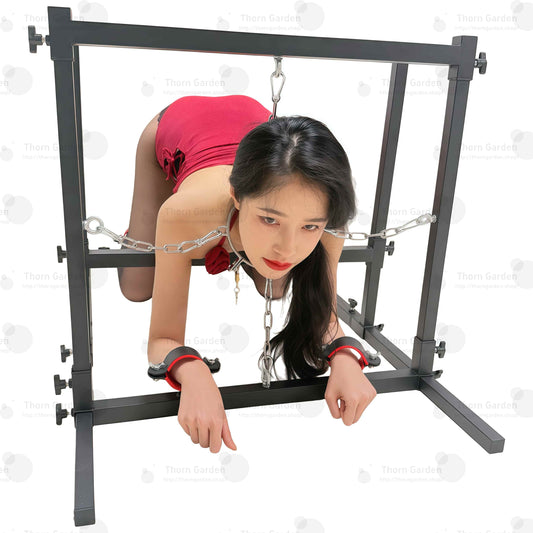 bdsm doggystyle bondage frame