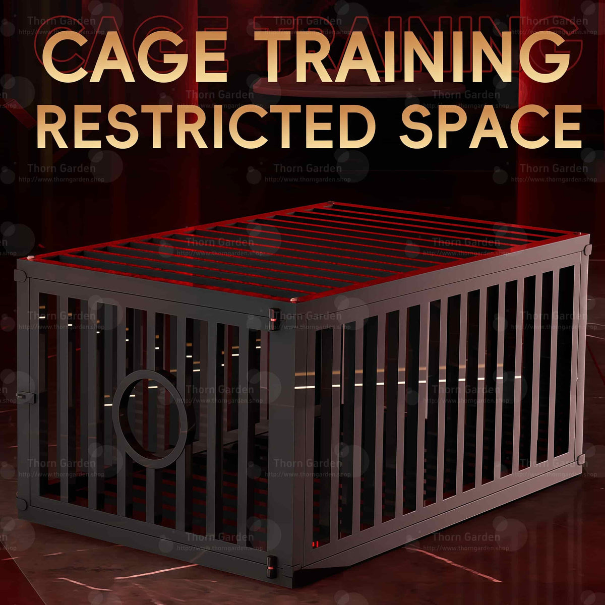 Promotional render of the THORN GARDEN Heavy Duty BDSM Bondage Cage - TGQL featuring the heavy-duty all-metal steel construction, matte black finish, and bold text overlay across the top reading CAGE TRAINING RESTRICTED SPACE