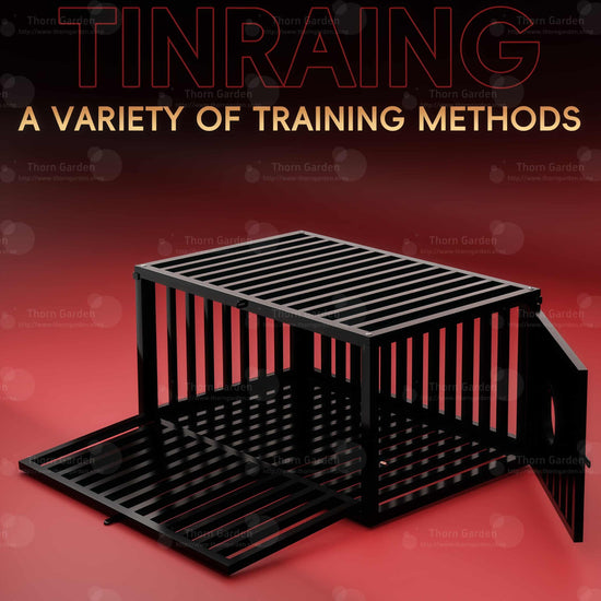 Promotional render of the THORN GARDEN Heavy Duty BDSM Bondage Cage - TGQL highlighting the heavy-duty all-metal steel construction, matte black finish, and bold text overlay across the top reading TRAINING A VARIETY OF TRAINING METHODS